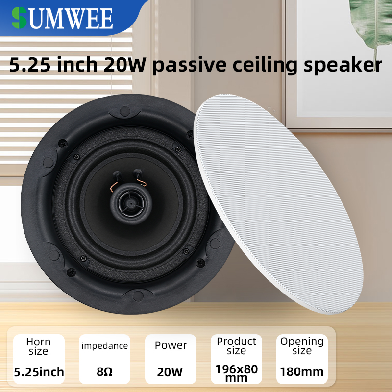 Audio Music Background - 5,25 inch 8 ohm plafondluidspreker coaxiaal