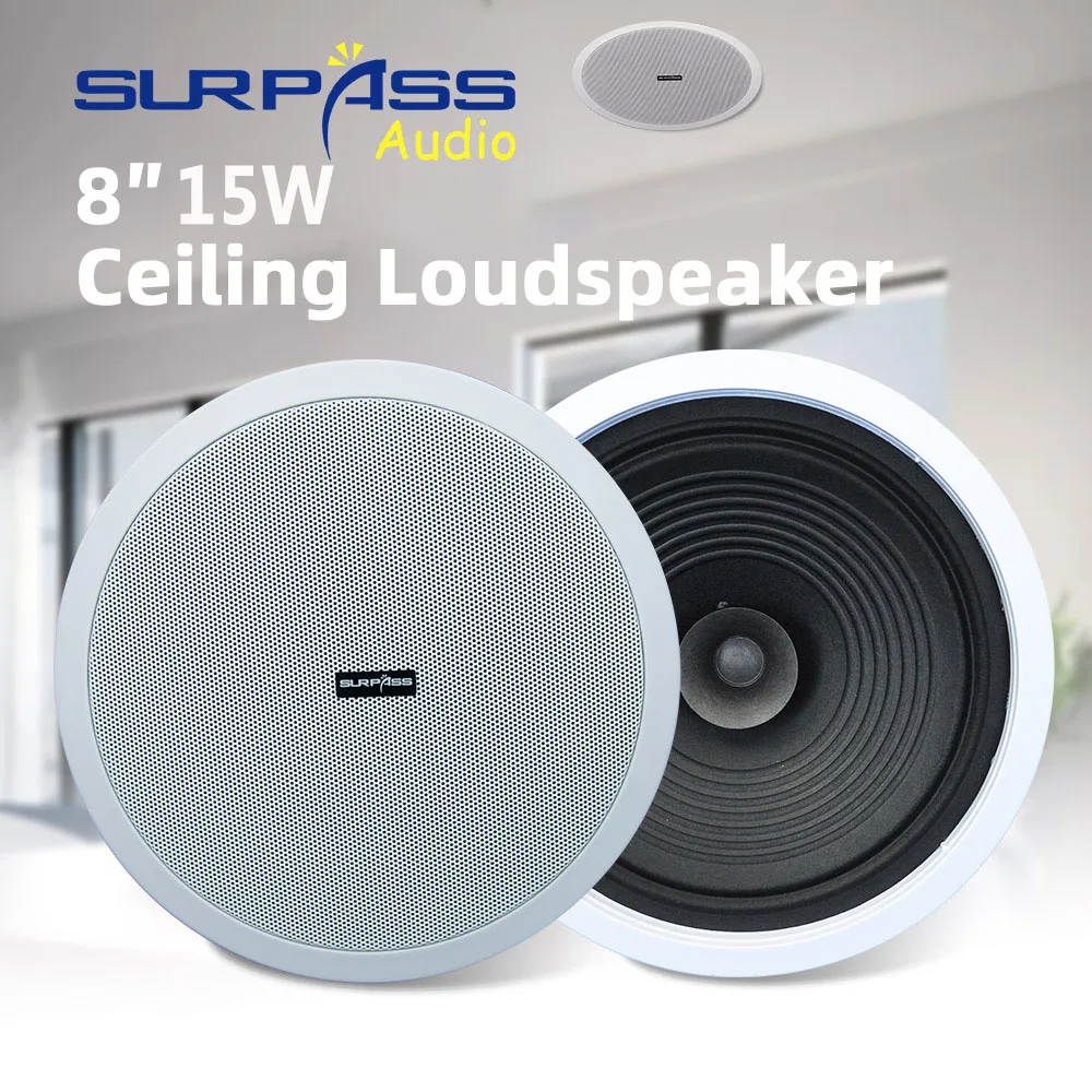 Home Audio Sound System 8 inch - Audio Music Background recensie en prijs