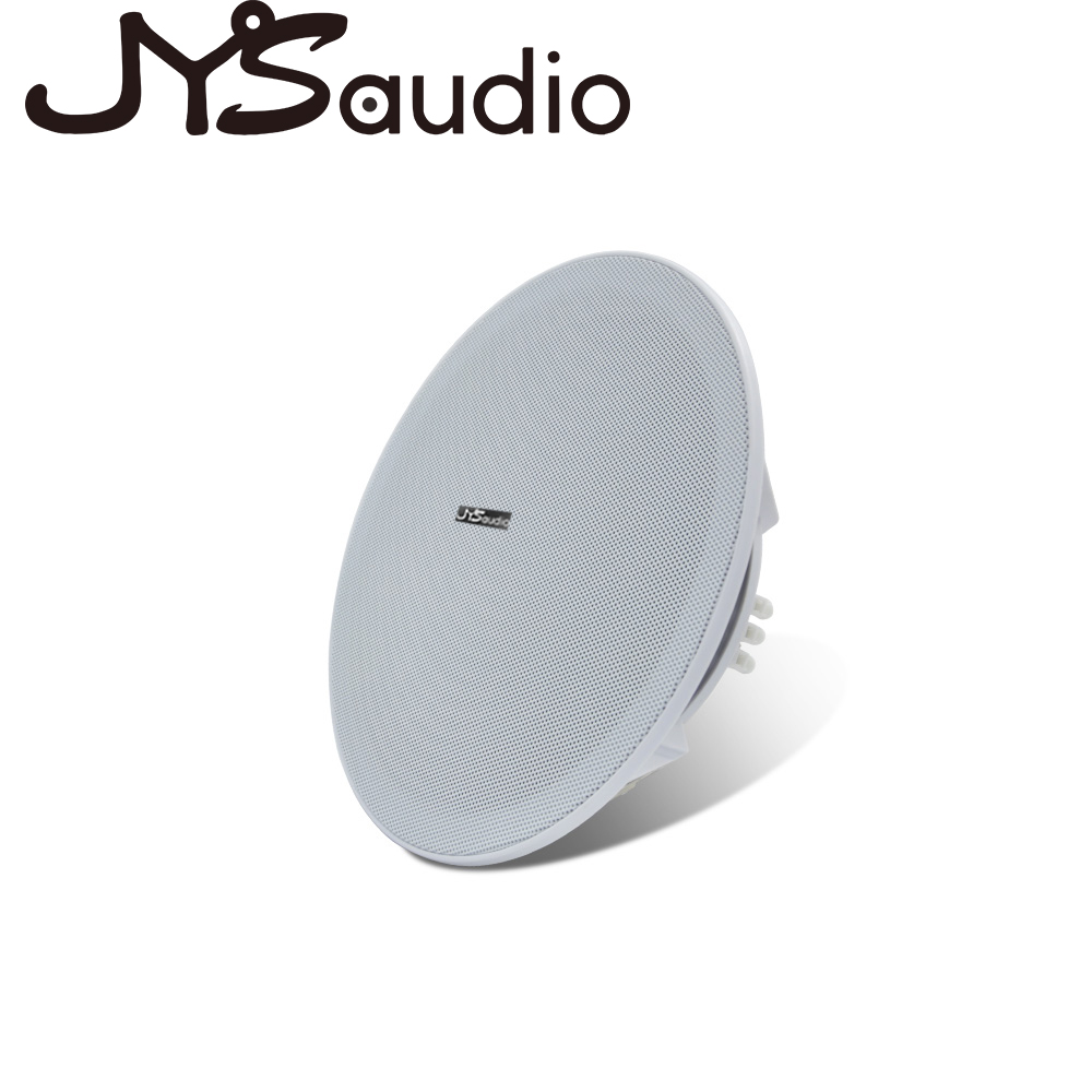 20W plafondluidspreker Stereo  - Audio Music Background recensie en prijs