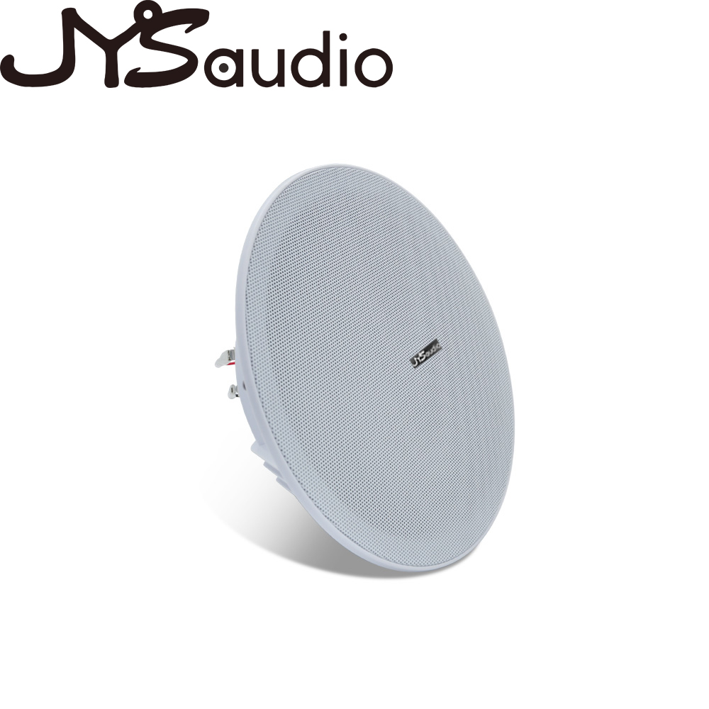 20W plafondluidspreker Stereo  - Audio Music Background recensie en prijs