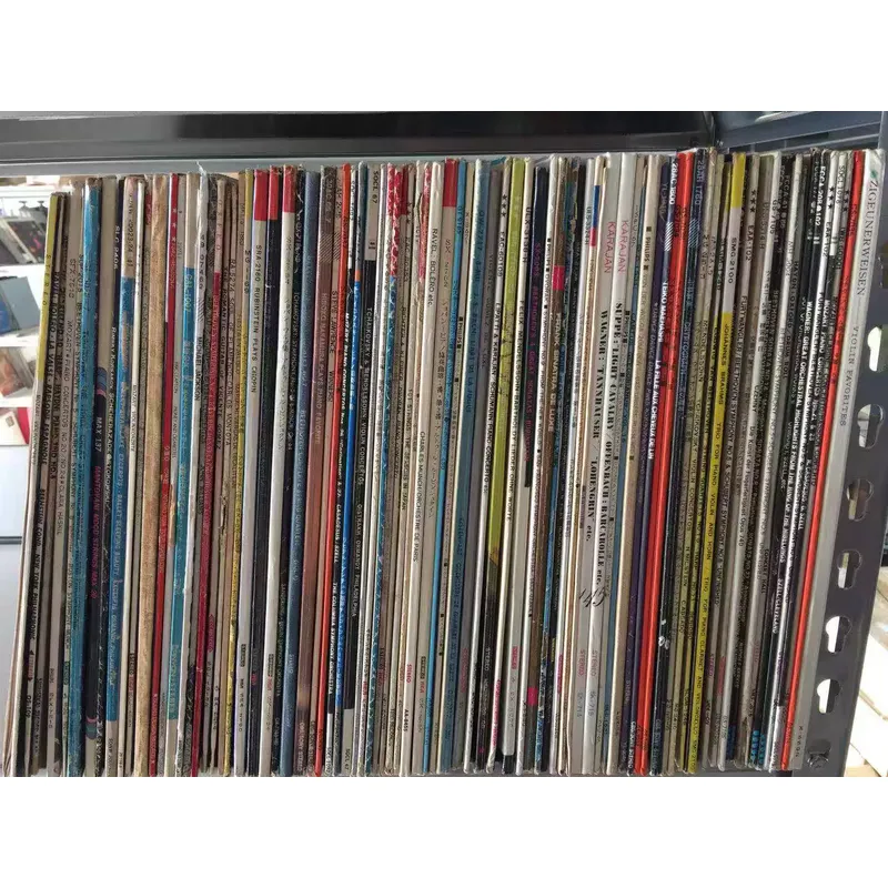 12-inch vinylplaat LP voor Bee - Audio Music Recording recensie en prijs
