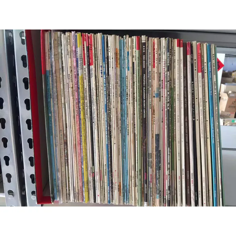 12-inch vinylplaat LP voor Bee - Audio Music Recording recensie en prijs