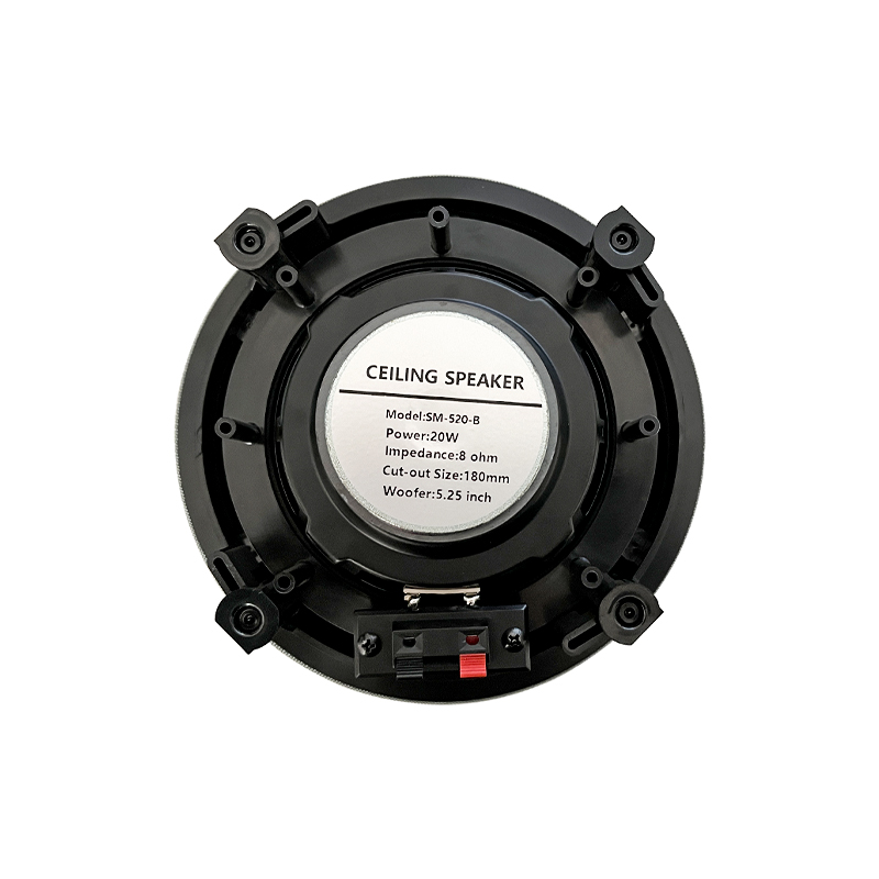 5,25 inch 8 ohm plafondluidspr - Audio Music Background recensie en prijs