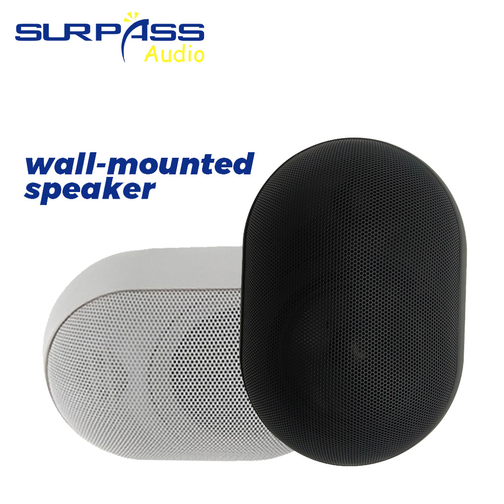 30W Wandmontage Luidspreker Wa - Audio Music Background recensie en prijs